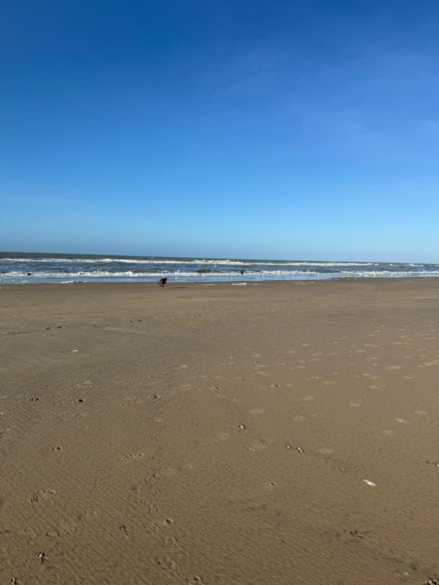 Guesthouse West Noordwijk Luaran gambar