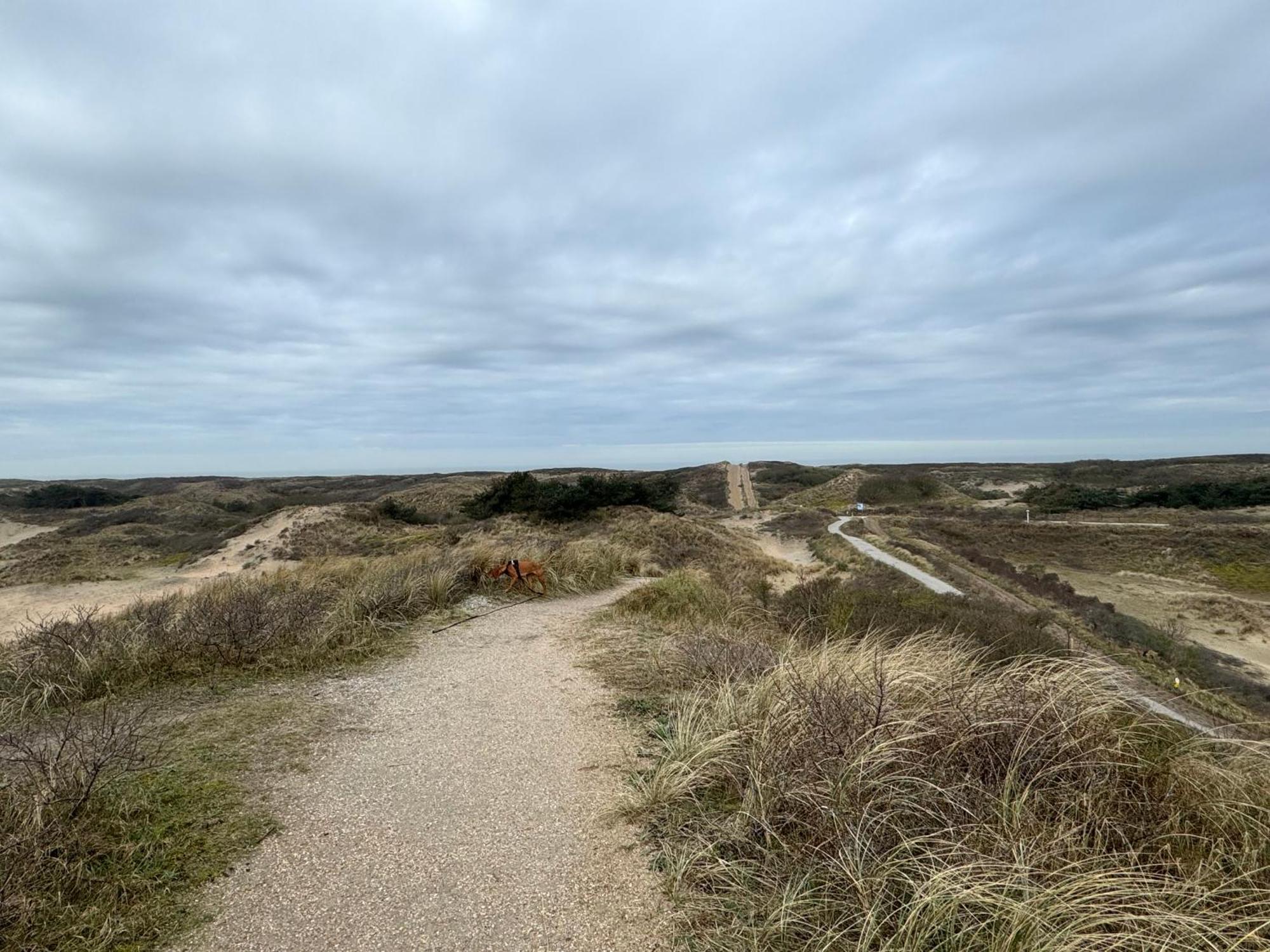 Guesthouse West Noordwijk Luaran gambar