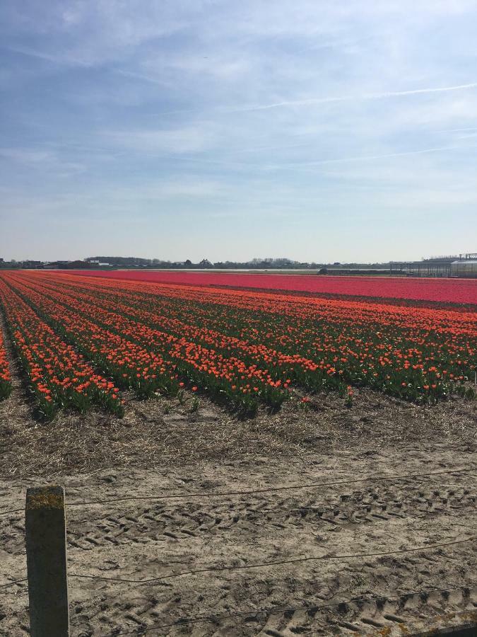 Guesthouse West Noordwijk Luaran gambar